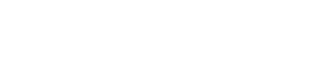 Chestnut Health Systems